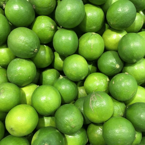 Pure LIme Oil